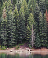 Photo of Carson Langford