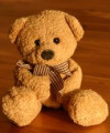 Photo of Tony Cannon