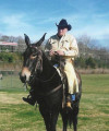 Photo of Billy Carter