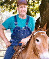 Photo of Donald Bartlett